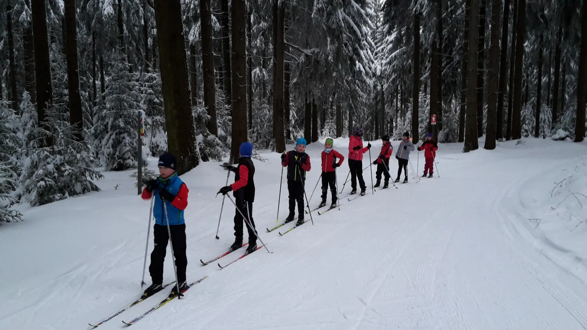 Kinder beim Skitraining im verschneiten Wald